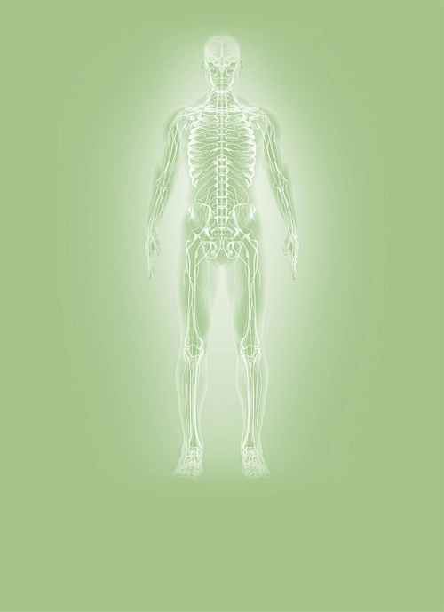 body